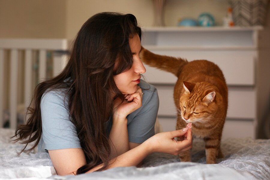 Why Does My Cat Do That? Common Feline behaviors ( Cat Behaviour ) - 2 Dogs